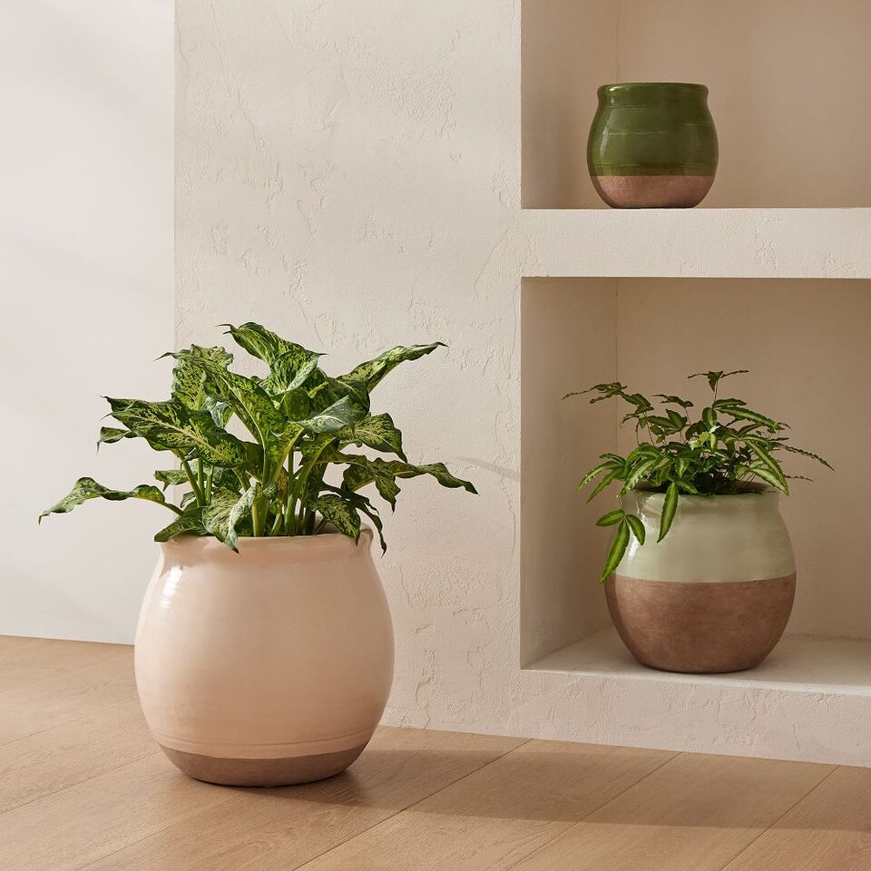 Ceramic Planters West Elm UK